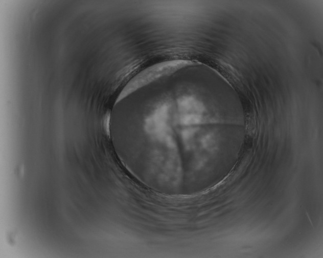 X0000091690047200709201307