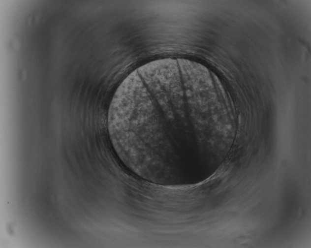 X0000091690048200709201307