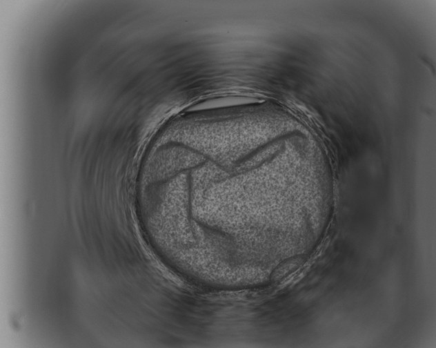 X0000091690049200709201306