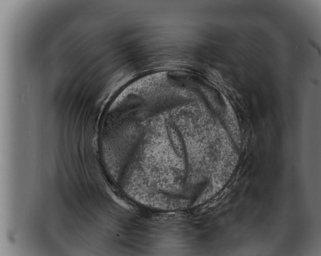 X0000091690050200709201306