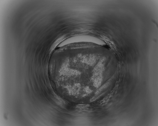 X0000091690051200709201306