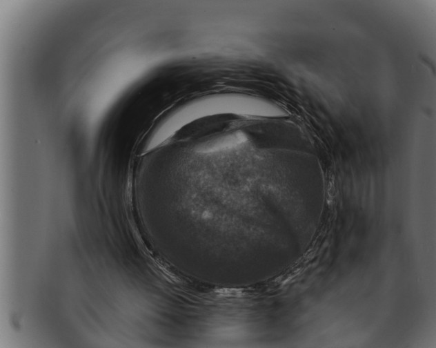 X0000091690052200709201306