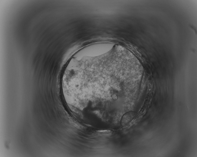 X0000091690053200709201306