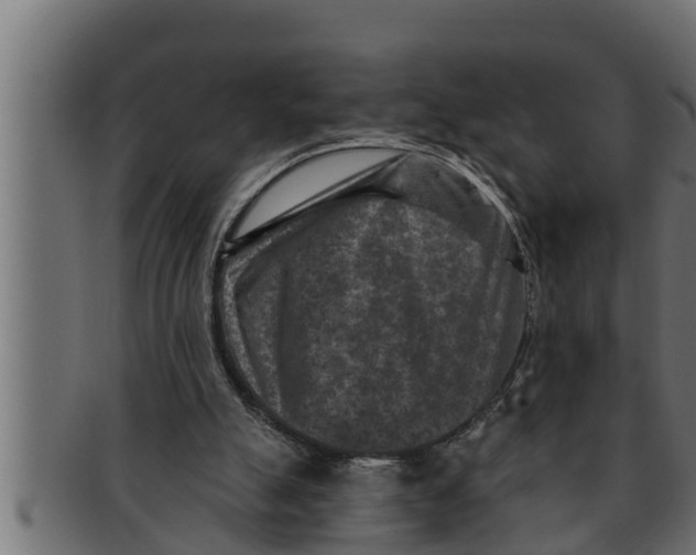 X0000091690055200709201306