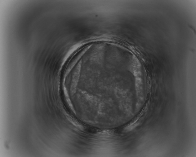 X0000091690056200709201306