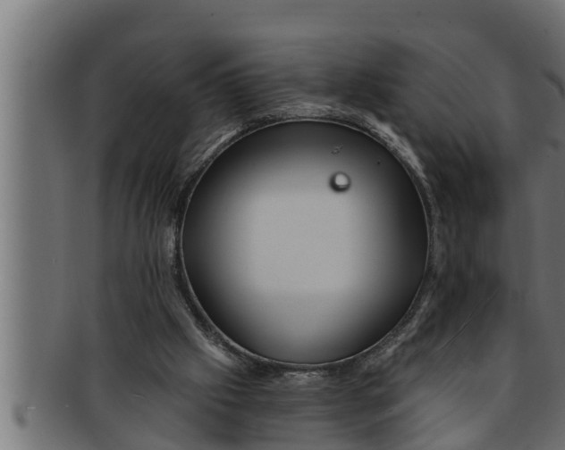 X0000091690057200709201306