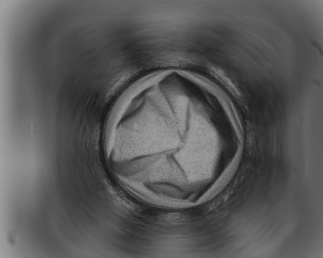 X0000091690058200709201306