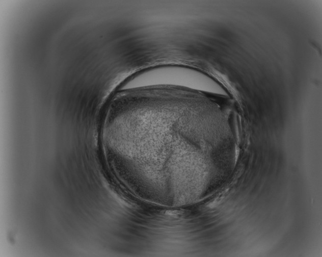 X0000091690060200709201306