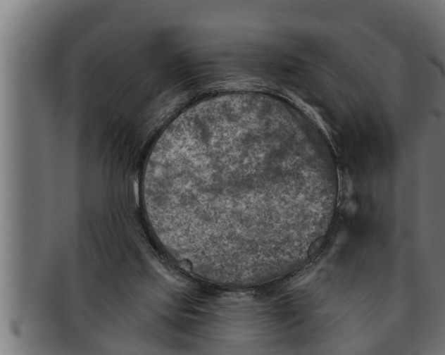 X0000091690061200709201306