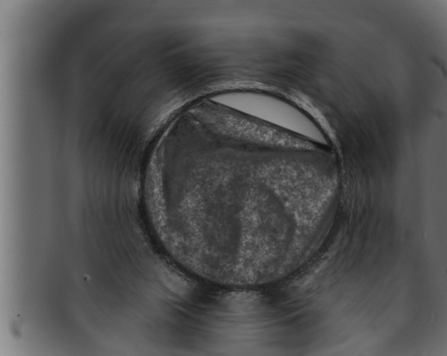 X0000091690063200709201306