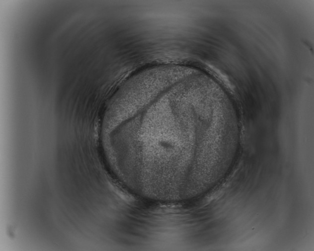 X0000091690065200709201306