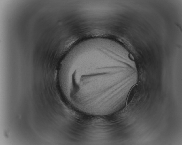 X0000091690066200709201306