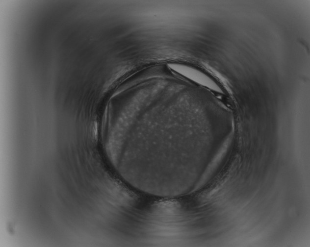 X0000091690067200709201306