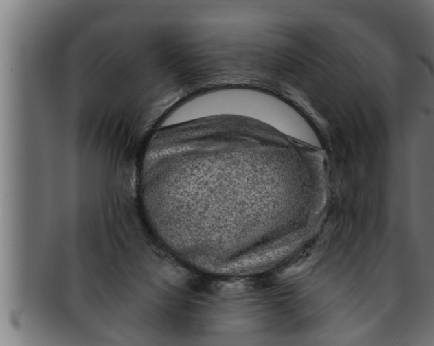 X0000091690068200709201306