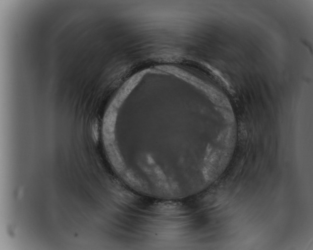 X0000091690069200709201306