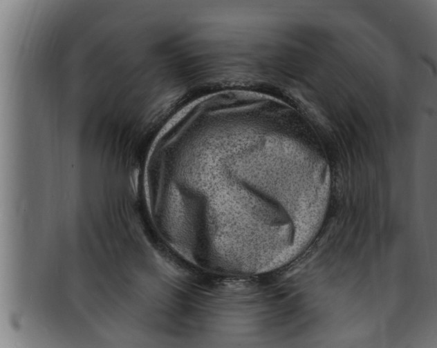 X0000091690070200709201306