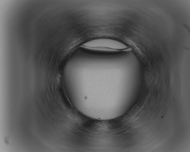 X0000091690071200709201306