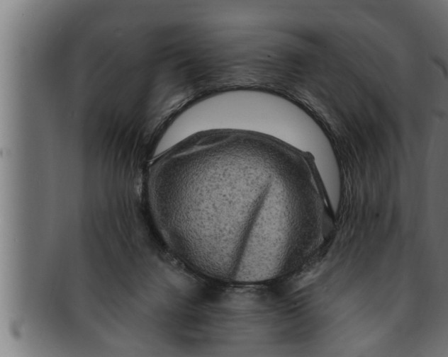 X0000091690072200709201307