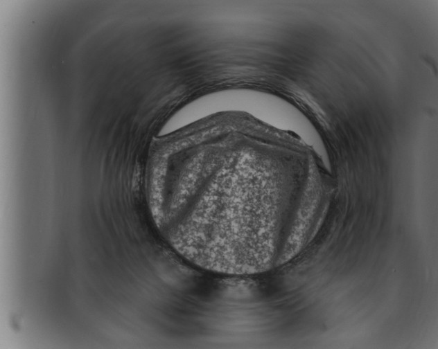 X0000091690073200709201307