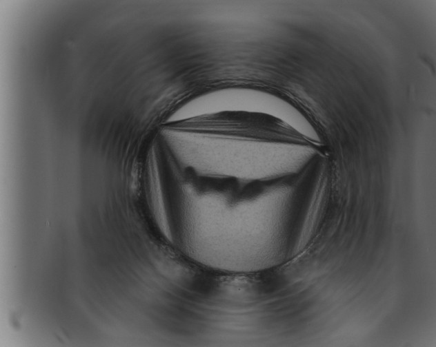 X0000091690074200709201307