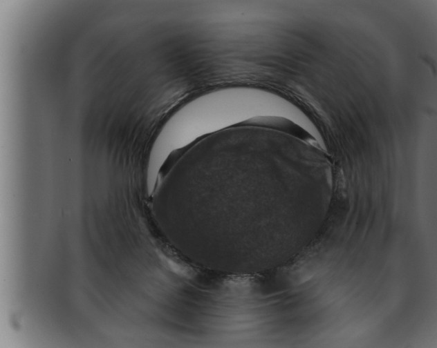 X0000091690076200709201307