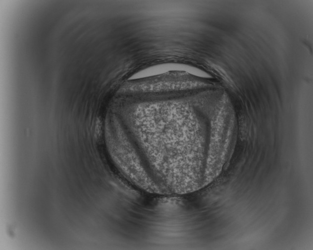 X0000091690077200709201307