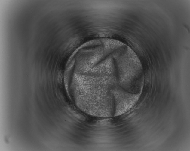 X0000091690078200709201307