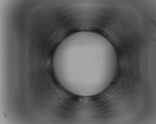 X0000091690079200709201307