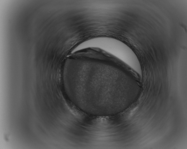 X0000091690080200709201307