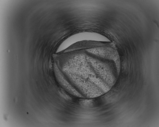 X0000091690081200709201307