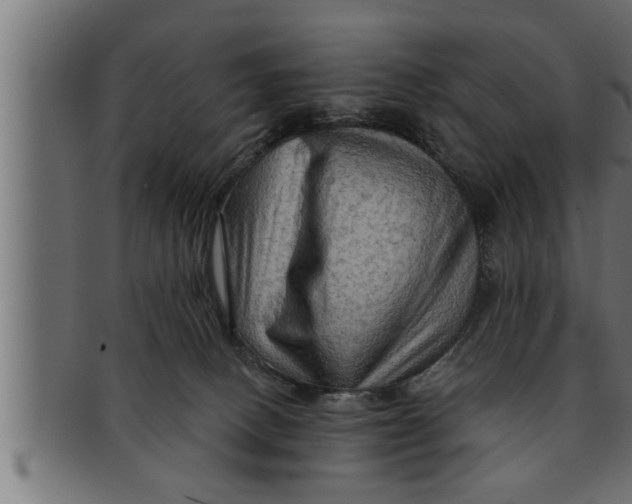 X0000091690082200709201307