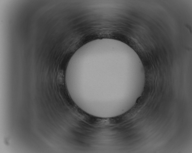 X0000091690083200709201307