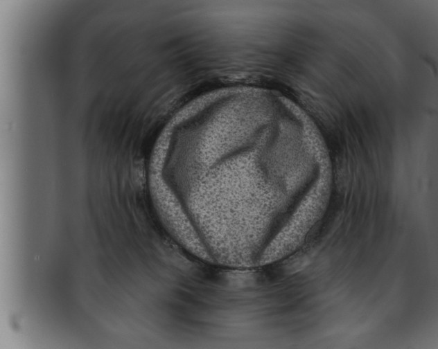 X0000091690085200709201307