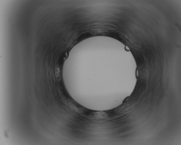 X0000091690087200709201307