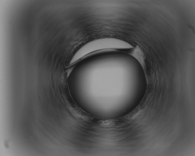 X0000091690088200709201307