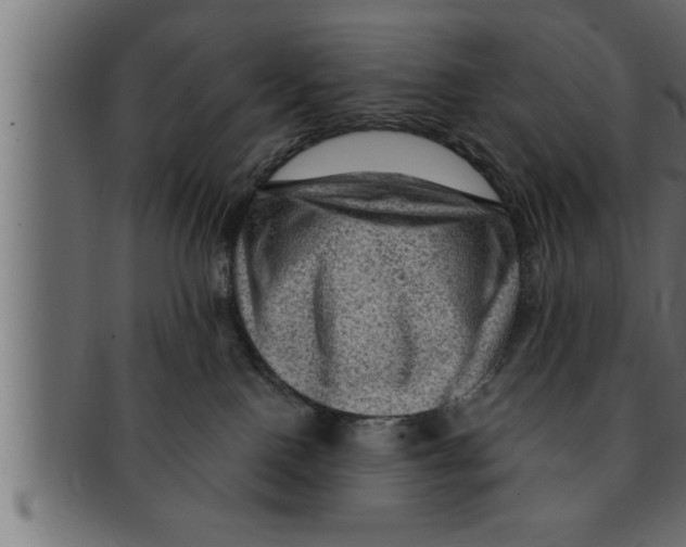 X0000091690090200709201307