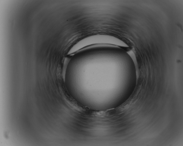 X0000091690092200709201307