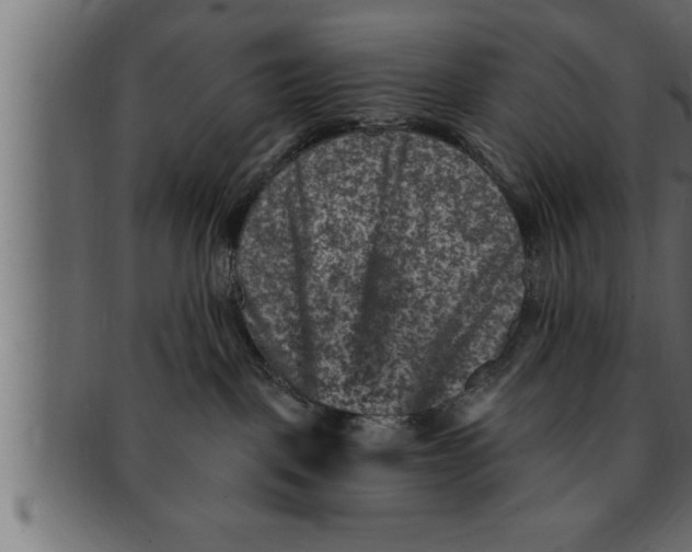 X0000091690093200709201307