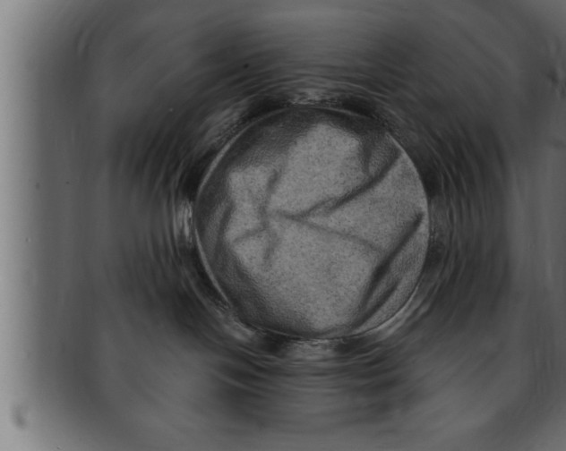 X0000091690094200709201307