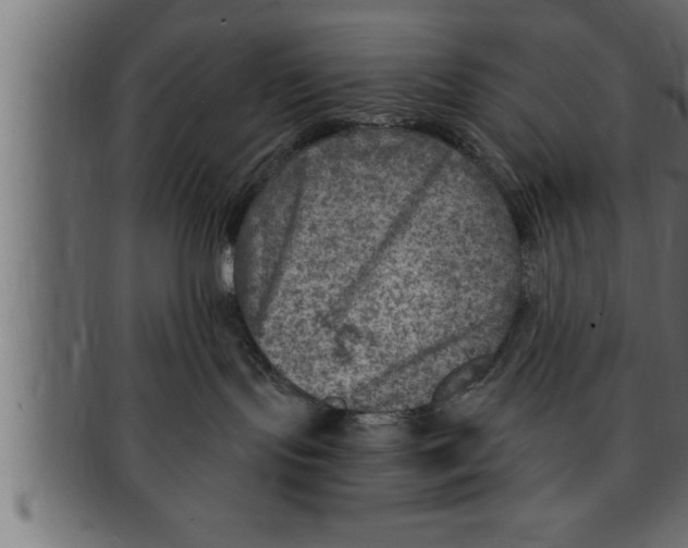 X0000091690095200709201307