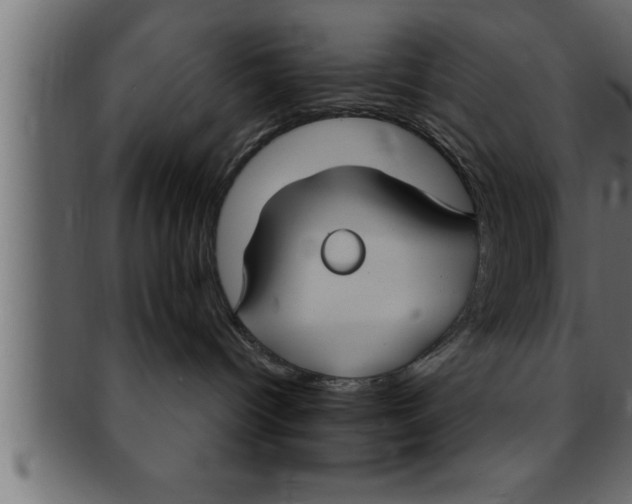 X0000091690096200709201307