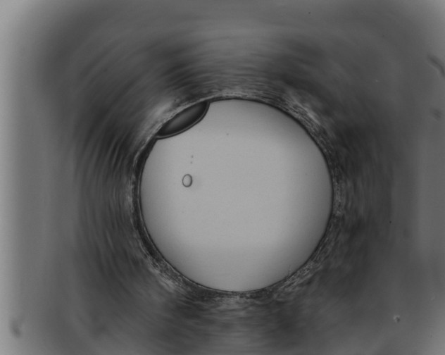 X0000091690098200709201306