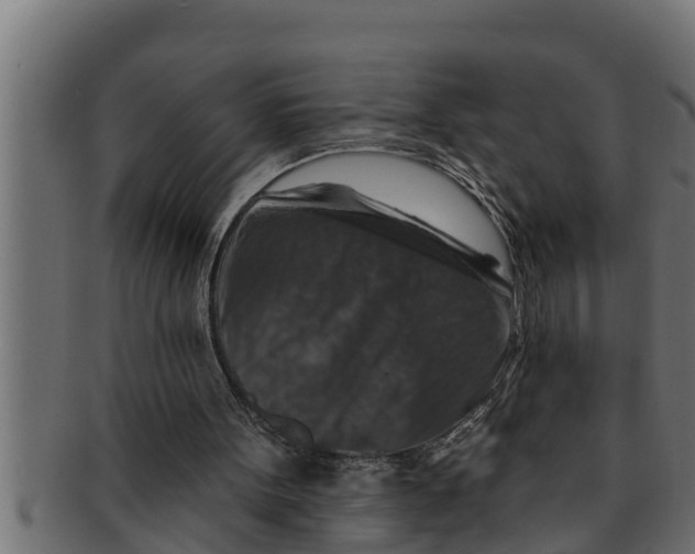 X0000091690099200709201306