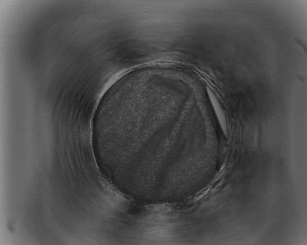 X0000091690100200709201306