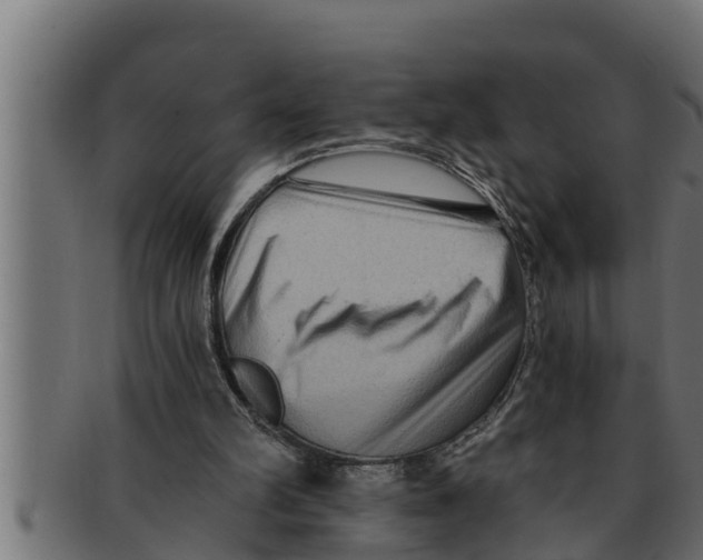 X0000091690102200709201306