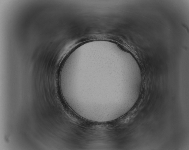 X0000091690103200709201306