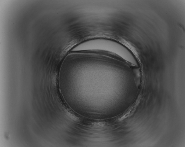 X0000091690105200709201306