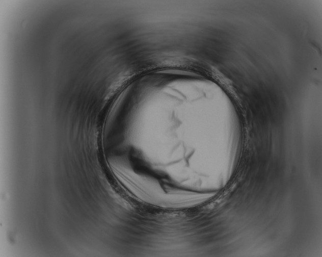 X0000091690106200709201306