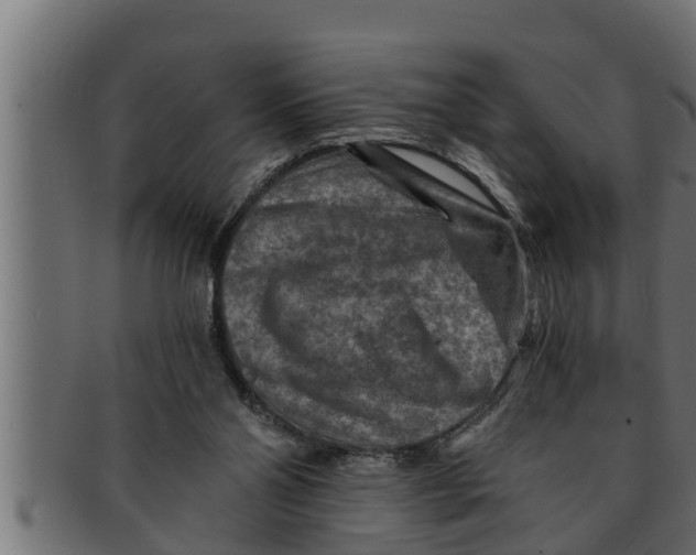 X0000091690110200709201306