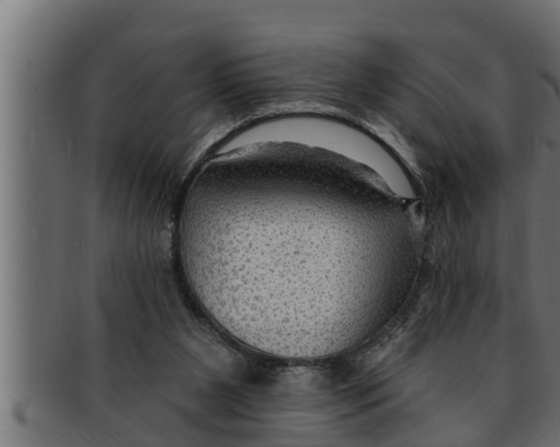 X0000091690111200709201306